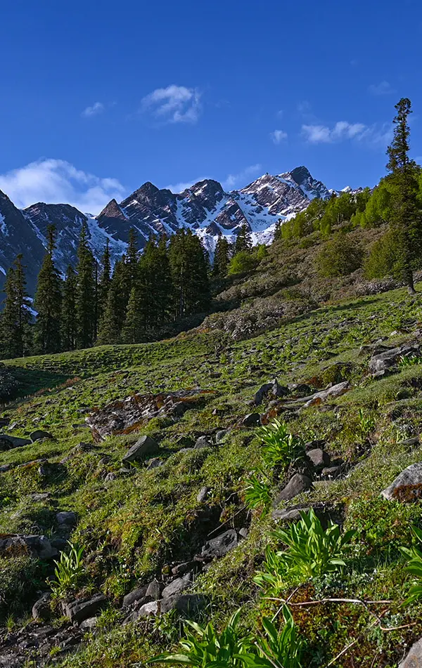 Sar Pass Trek